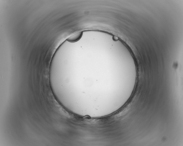 X0000090741529200708101651