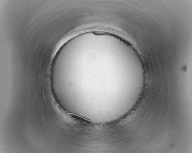 X0000090741530200708101651