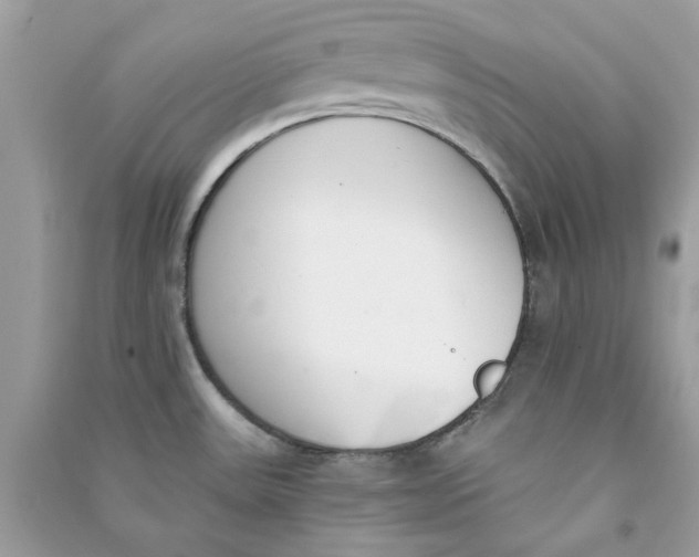 X0000090741531200708101651