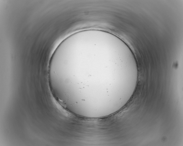 X0000090741532200708101651