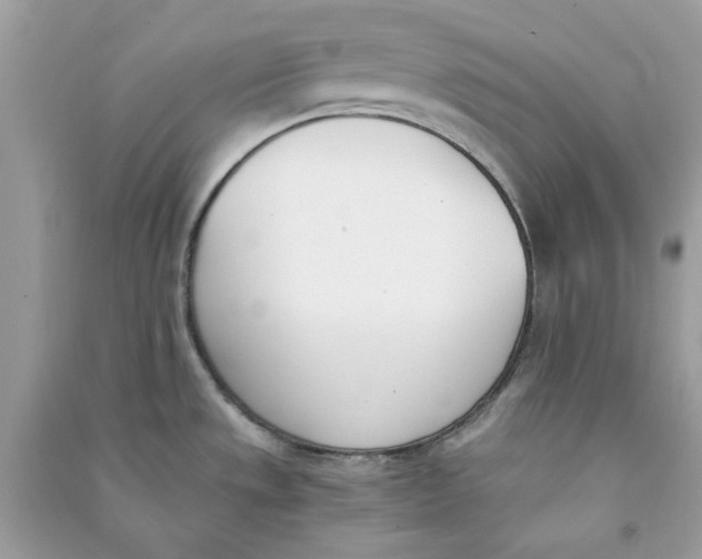 X0000090741533200708101651