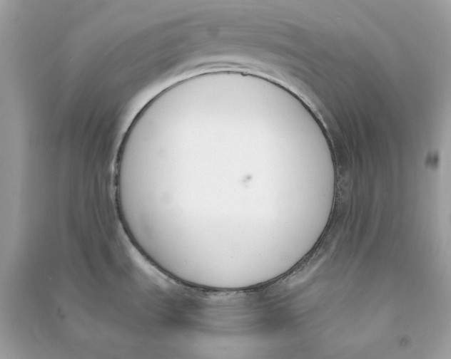 X0000090741535200708101651