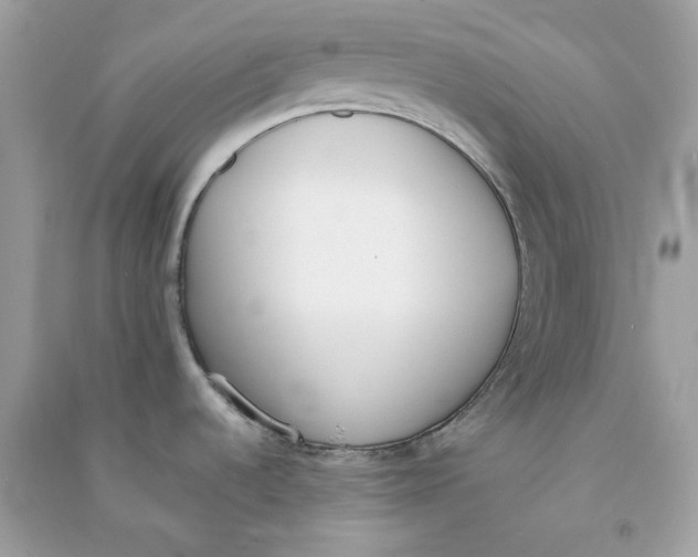 X0000090741536200708101651