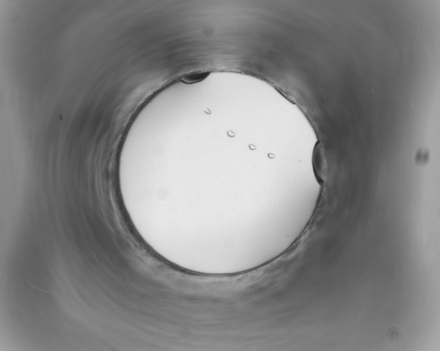 X0000090740001200708172017