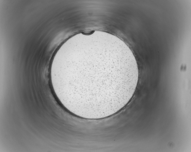 X0000090740002200708172017