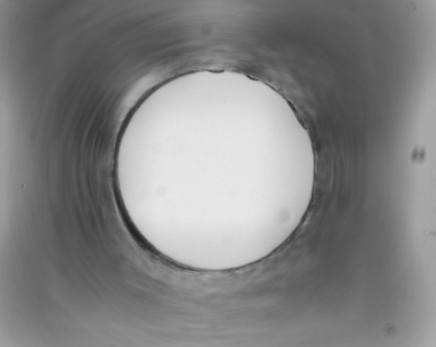 X0000090740003200708172017