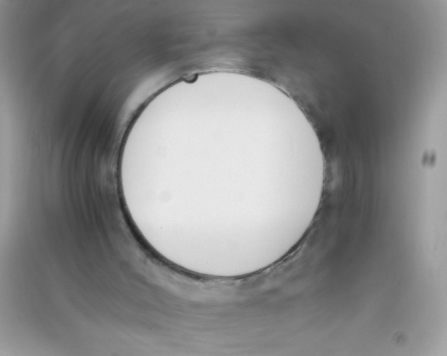 X0000090740004200708172017