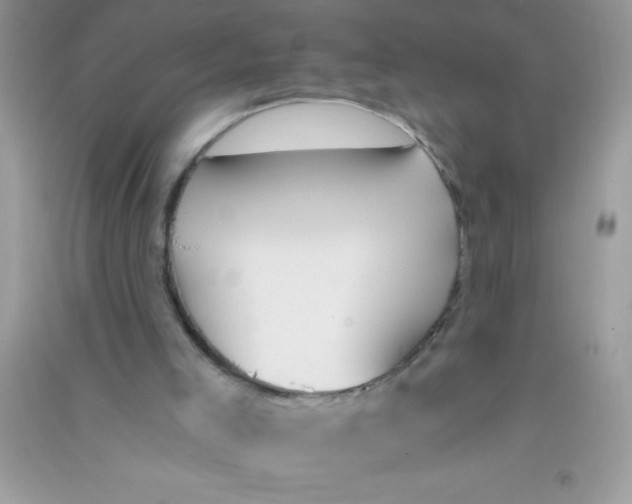 X0000090740005200708172017