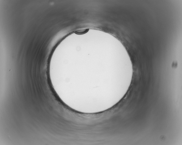 X0000090740006200708172017