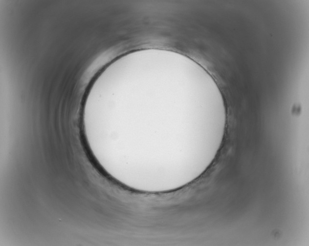 X0000090740007200708172017