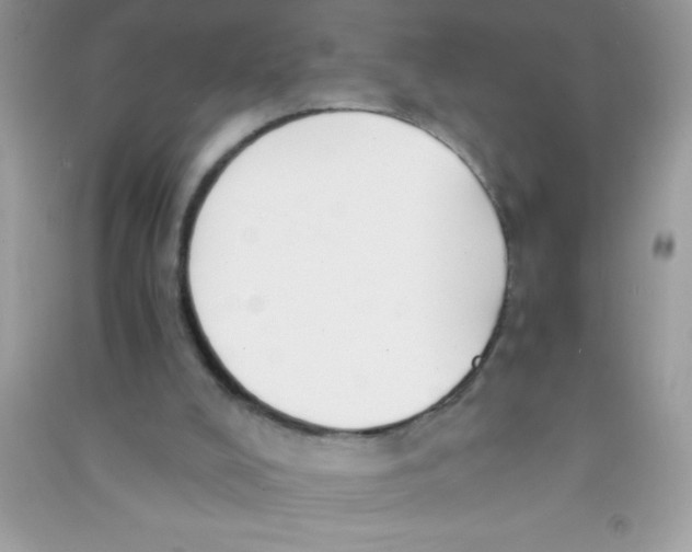 X0000090740008200708172017