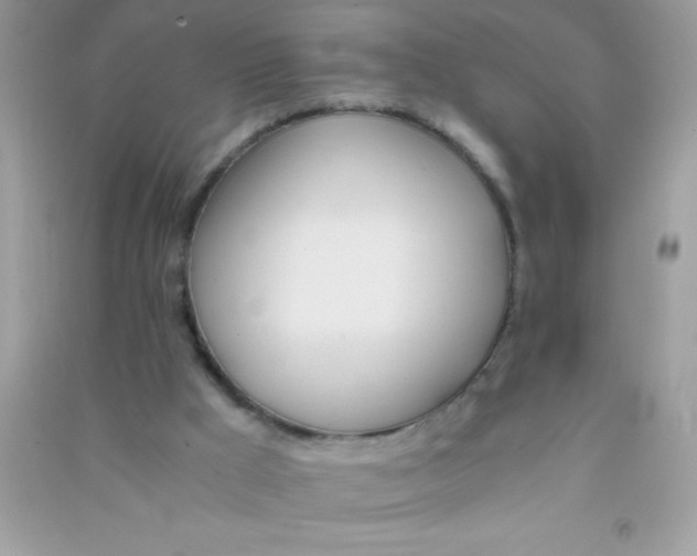 X0000090740009200708172017