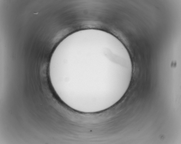 X0000090740010200708172017