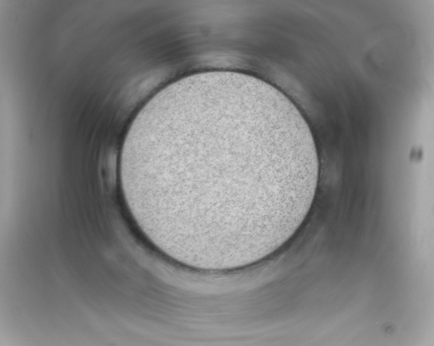 X0000090740014200708172017