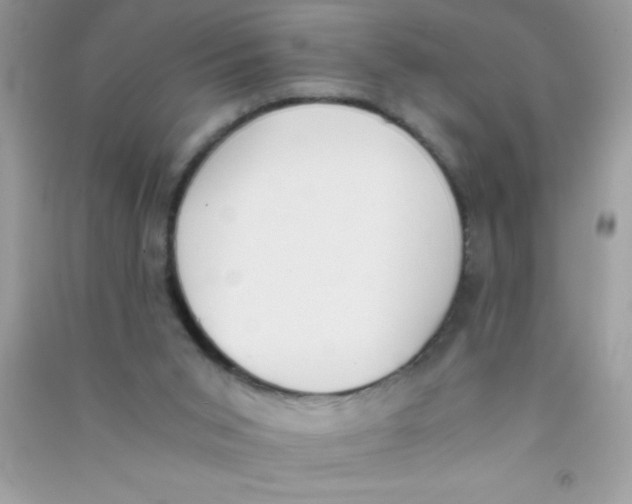 X0000090740015200708172017