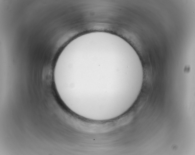 X0000090740016200708172017