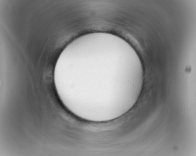 X0000090740017200708172017