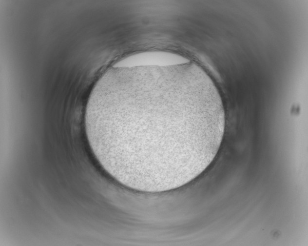 X0000090740018200708172017