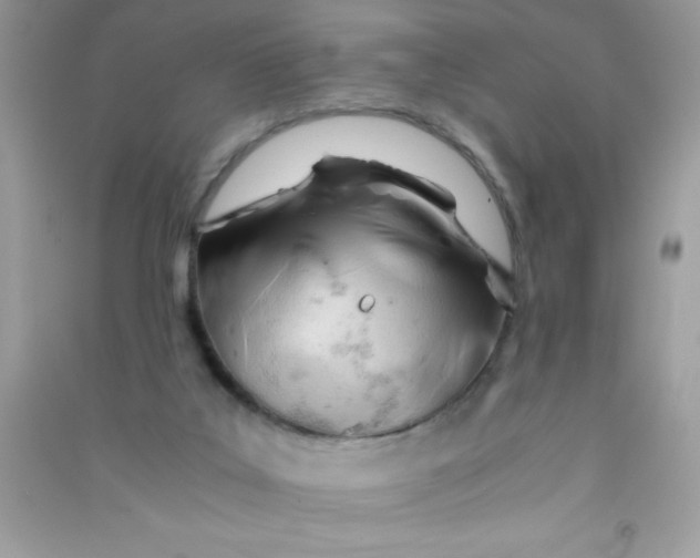 X0000090740019200708172017