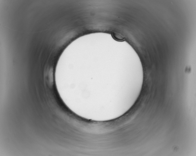 X0000090740020200708172017