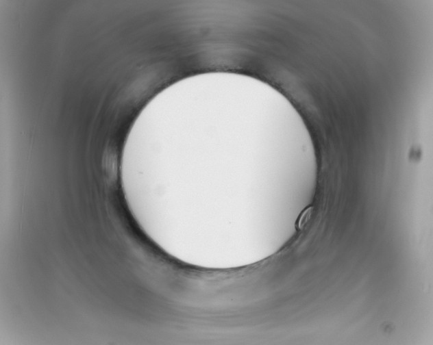 X0000090740021200708172016