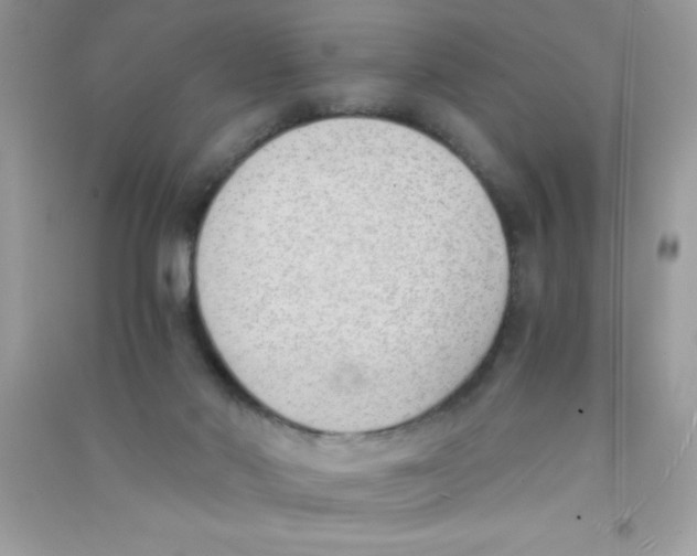 X0000090740022200708172016