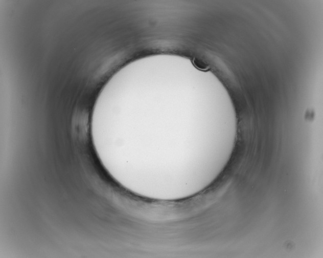 X0000090740024200708172016