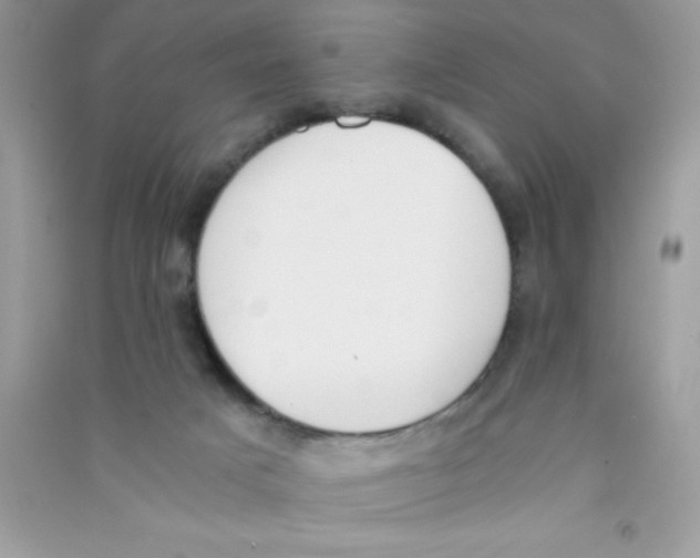 X0000090740025200708172016