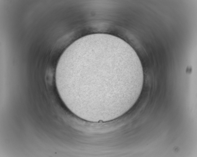 X0000090740026200708172016