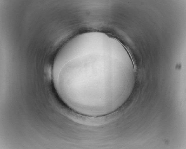 X0000090740027200708172016