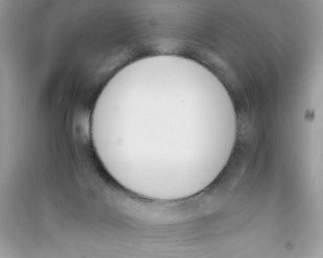 X0000090740028200708172016