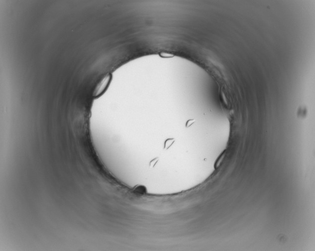 X0000090740029200708172016