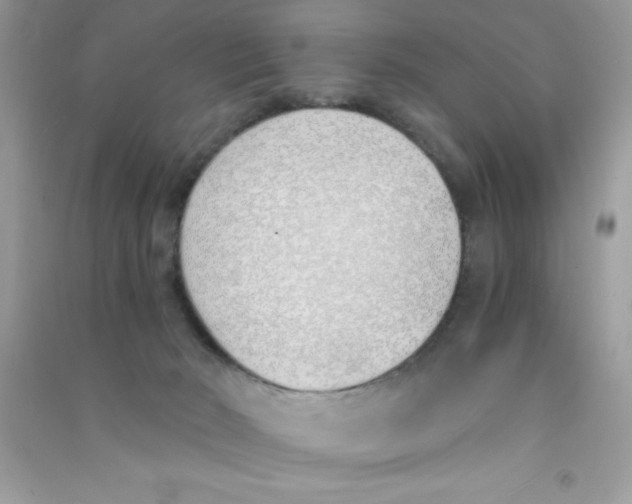 X0000090740030200708172016