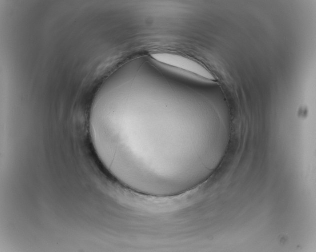 X0000090740031200708172016