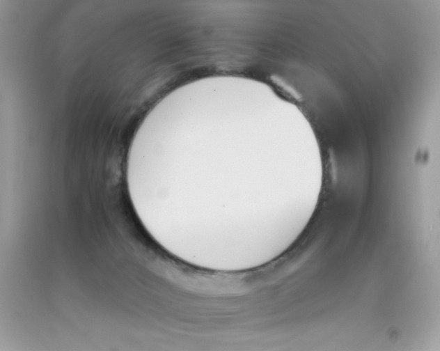 X0000090740032200708172016