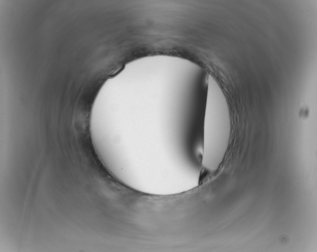 X0000090740033200708172016