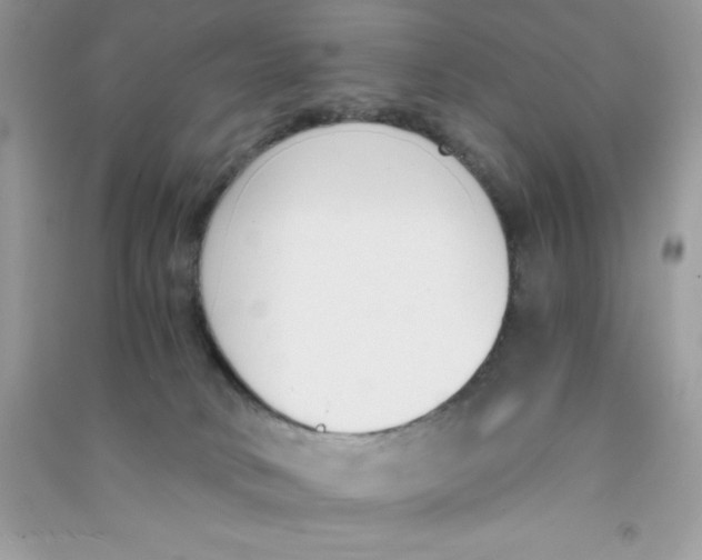 X0000090740034200708172016