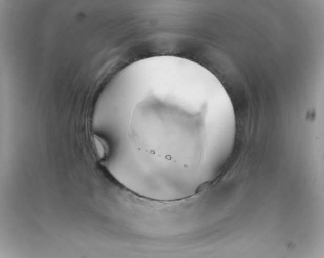 X0000090740035200708172016