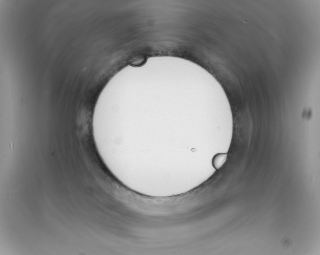 X0000090740038200708172016