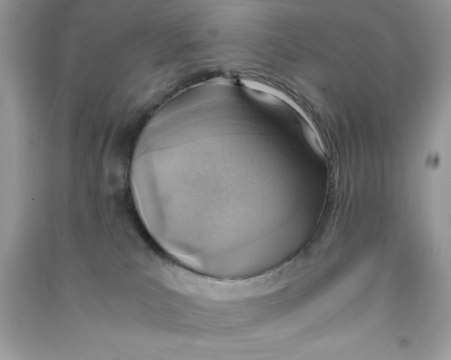 X0000090740039200708172016