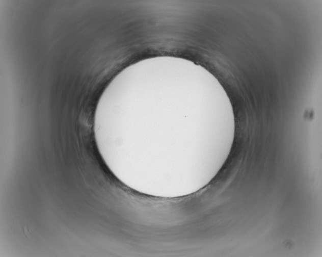 X0000090740040200708172016