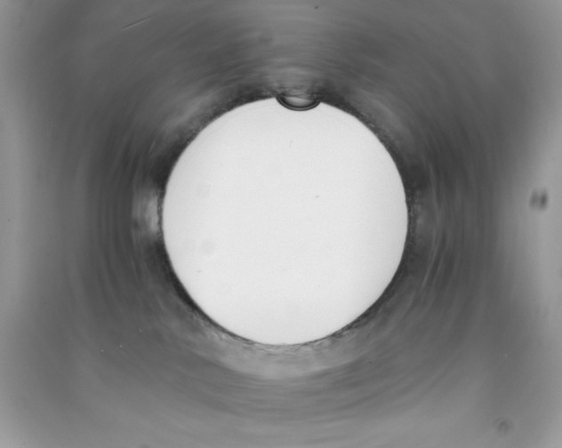 X0000090740042200708172016