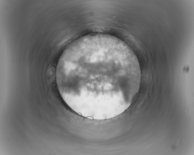 X0000090740043200708172016