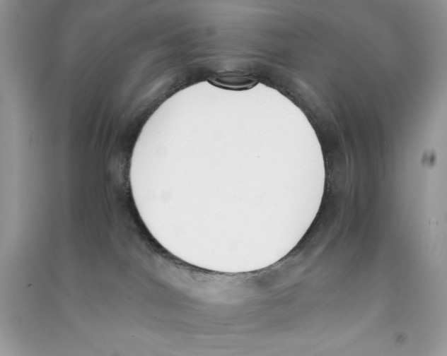 X0000090740044200708172016