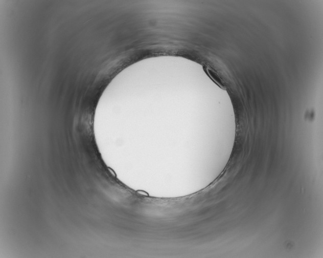 X0000090740045200708172016