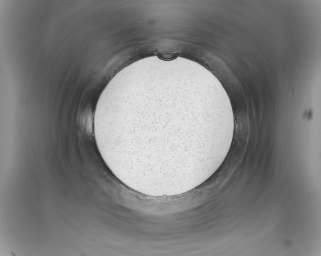 X0000090740046200708172016