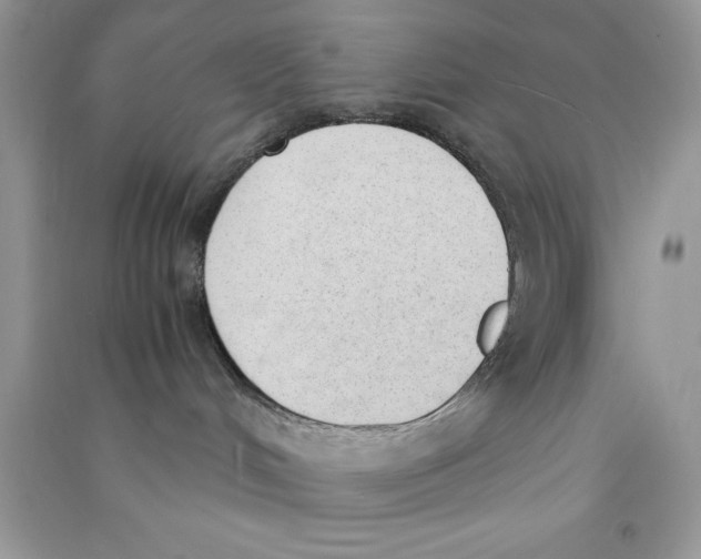 X0000090740048200708172016