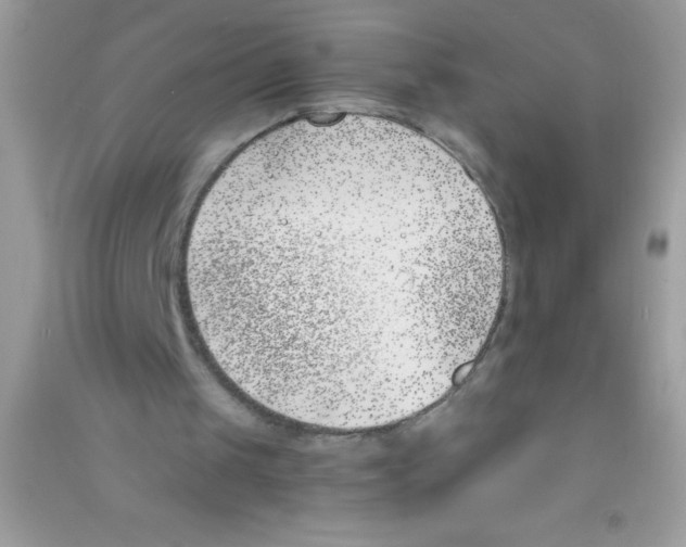 X0000090740049200708172016