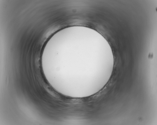 X0000090740050200708172016