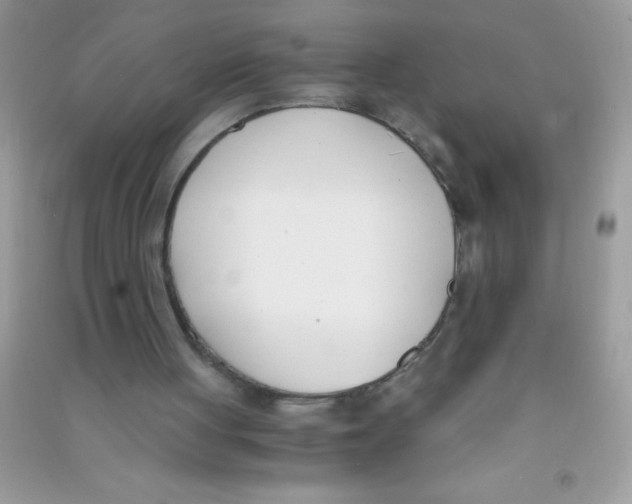 X0000090740051200708172016